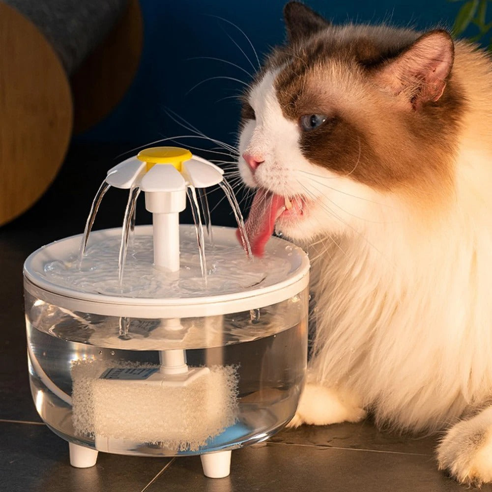 1200ml USB Cat Water Fountain Pet Drinking Dispenser Drinker Auto Filter Transparent Cat Drinker Automatic Cat Drink Bowl Filter