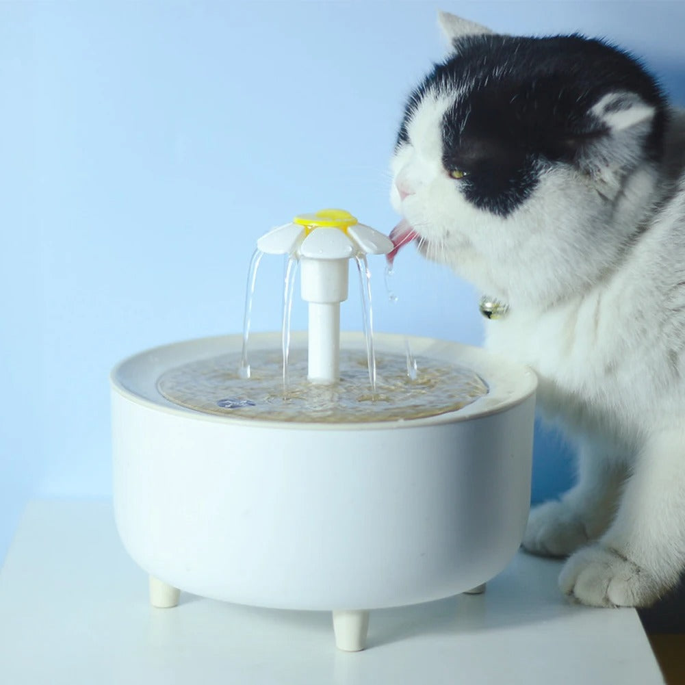 1200ml USB Cat Water Fountain Pet Drinking Dispenser Drinker Auto Filter Transparent Cat Drinker Automatic Cat Drink Bowl Filter